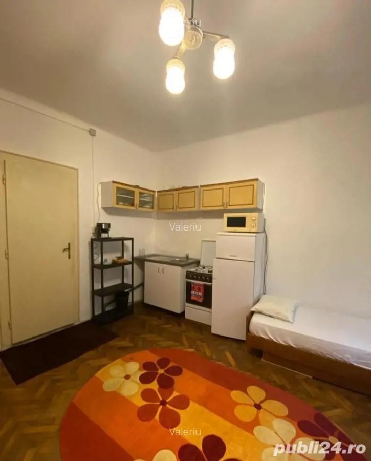 Apartament, 1 camera, parter, zona Balcescu - 3