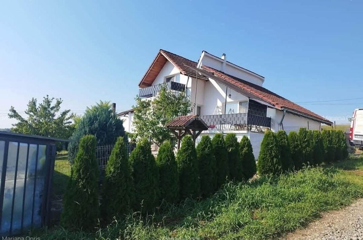 Vila de vanzare .suprafata utila totala 670 mp,in Sura  Mare - 1