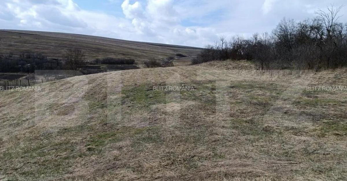 Casa veche cu teren generos de 5.300 mp oportunitate de - 2