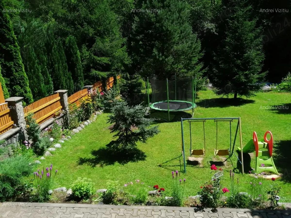 Vila de vanzare in Mun?ii Retezat, pe malul raului - 1