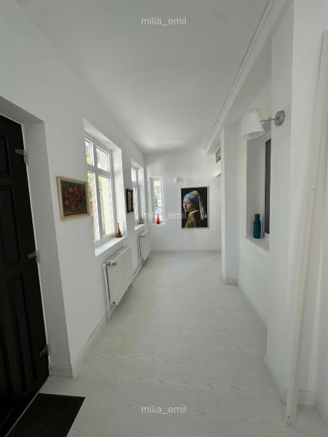 IMOBIL ULTRACENTRAL SINGUR IN CURTE - 15