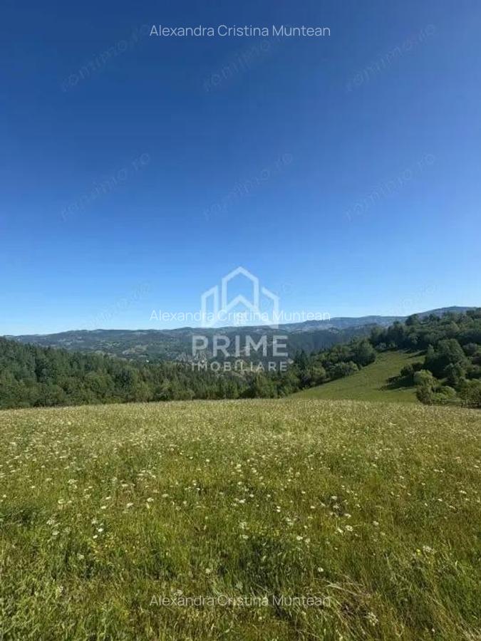 Teren intravilan de vanzare 11.136 mp | ALBAC | CU POSIBILITATE DE PARCELARE | - 3