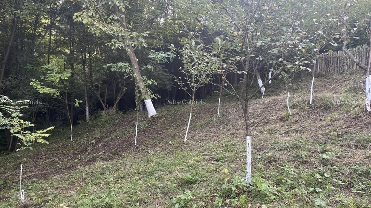 Casa situata intr-o zona superba - 7