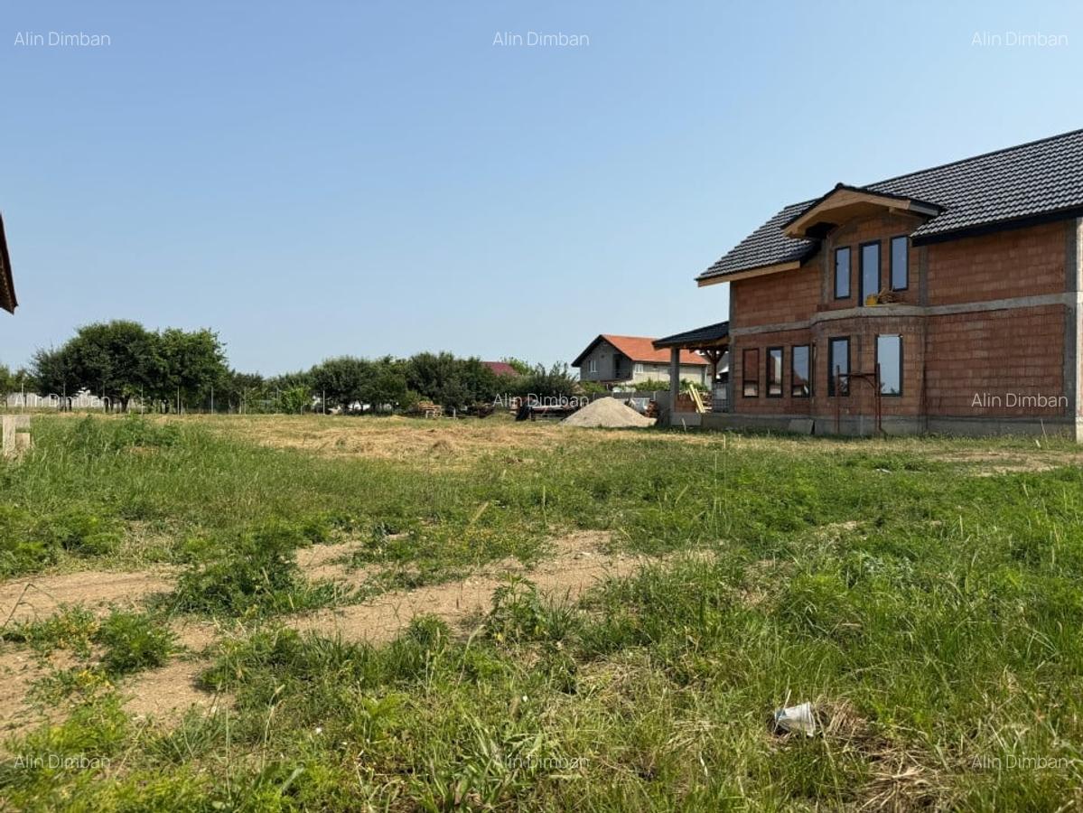 Inchiriem viitorul pe metru patrat, teren 800 mp, intravilan-Peciu Nou - 2