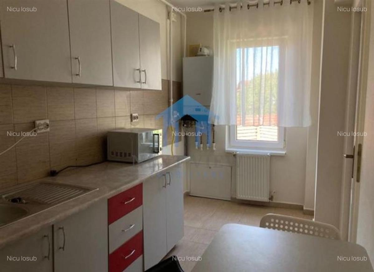 Apartament 1 camera, Platinia - 4