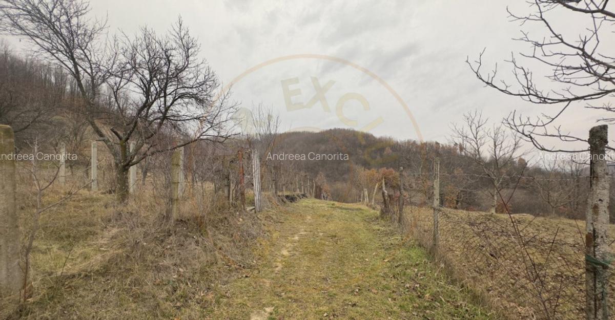 0% Comision Teren intravilan 814 MP-Stefanesti-Valea Mare Po - 3