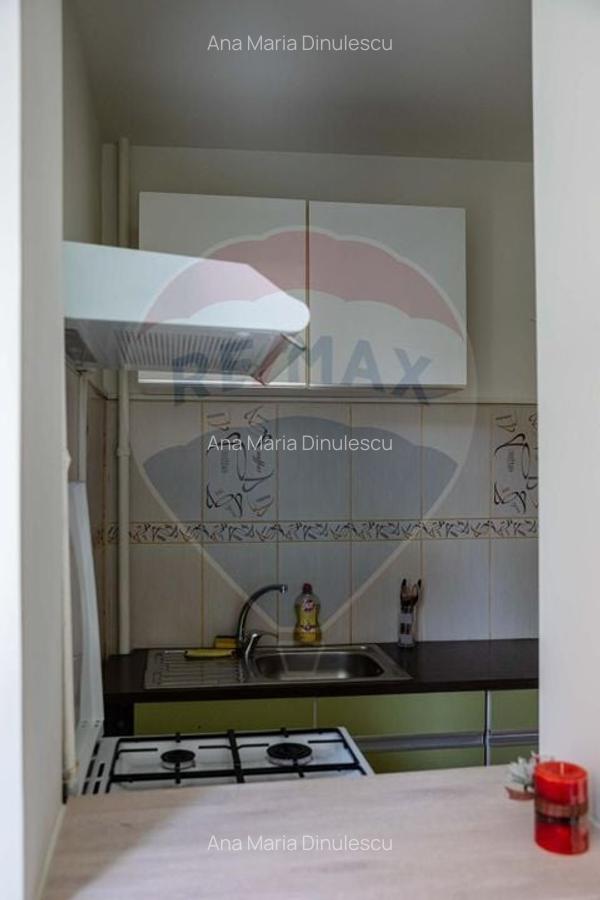 Garsoniera mobilata si utilata, PET FRIENDLY,  zona Garii! - 5