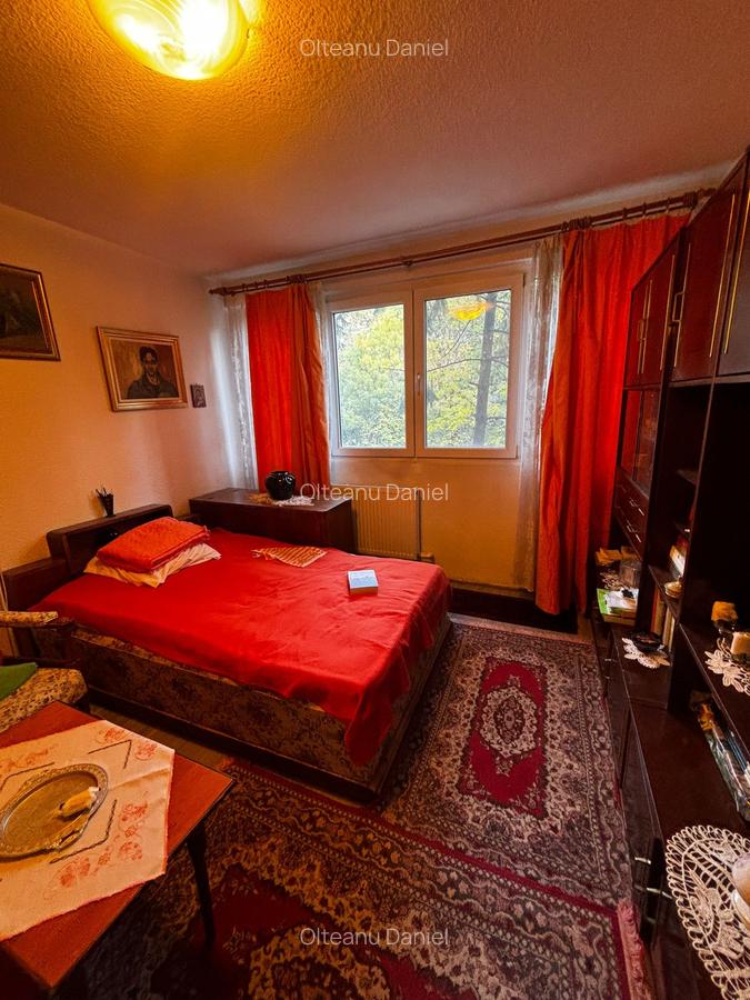 GIURGIULUI DRUMUL GAZARULUI - 5