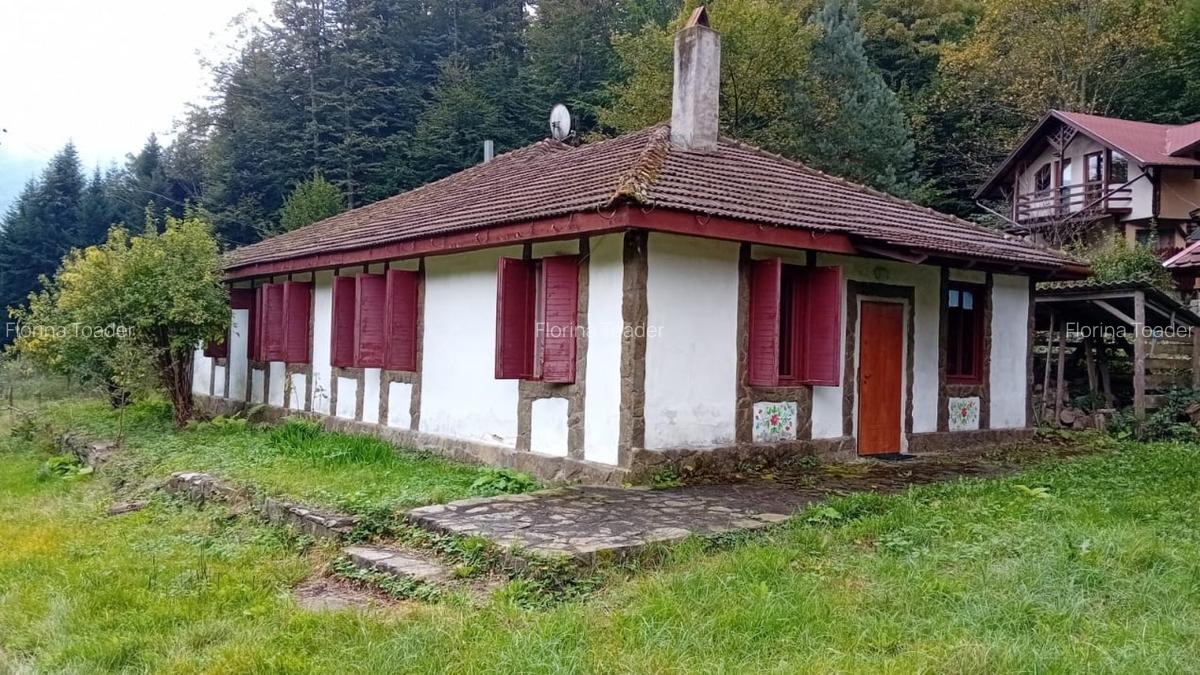 Casa de vacanta Crivaia, langa Valiug -locatie idilica, ideala pentru timp liber - 3