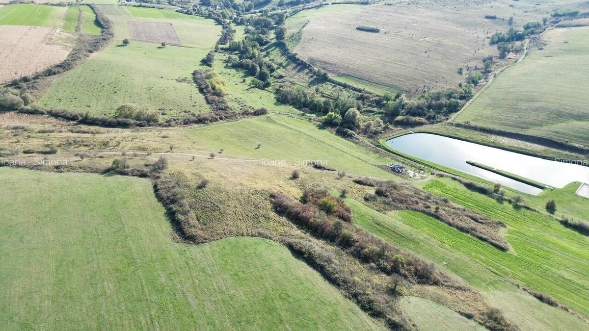 Parcele teren pentru cabane Sibiu -Dealul Daii -Casolt,  direct de la proprietar - 14