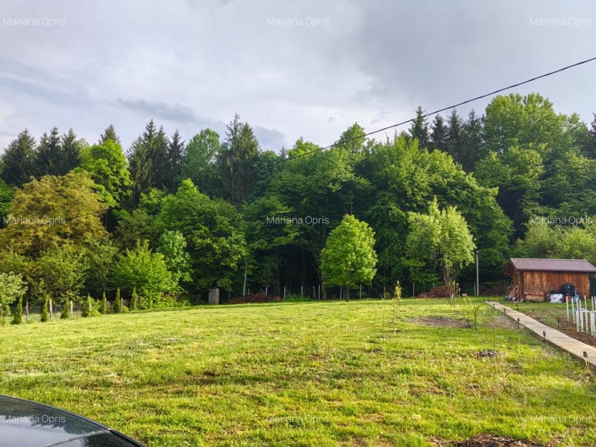 Casa individuala | 100 mp casa + 1500 mp teren | Tocile, judetul Sibiu - 20