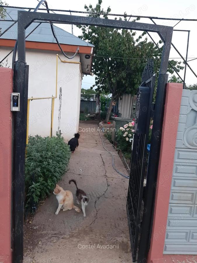 Casa de vanzare in Limanu jud Constanta 75000 euro - 8