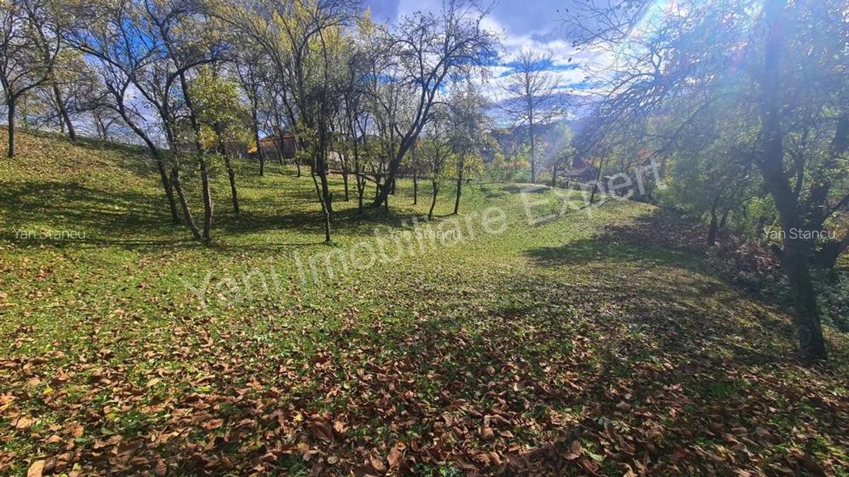 Teren de vanzare in comuna Arefu, jude? Arge?. - 4