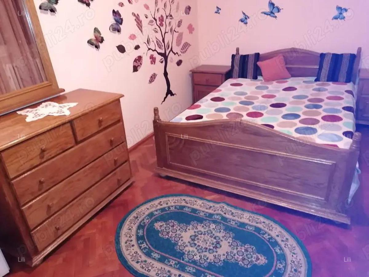 De inchiriat apartament 2 camere, zona Cetatii - 5