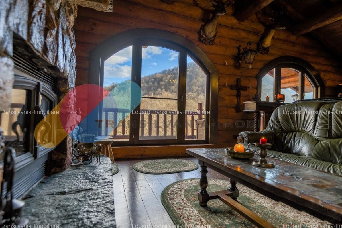 Complex  Printesa din Carpati  - Oportunitate de Investitie Unica pe Valea Aries - 14