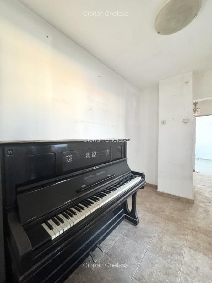 Apartament in zona Camil Ressu-Fizicienilor-Nicolae Grigorescu Metrou, - 12
