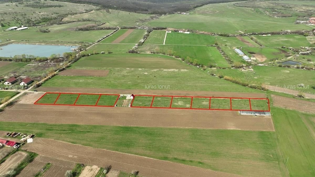 Teren Construcții intravilan de 600 mp, în Ineu - 4