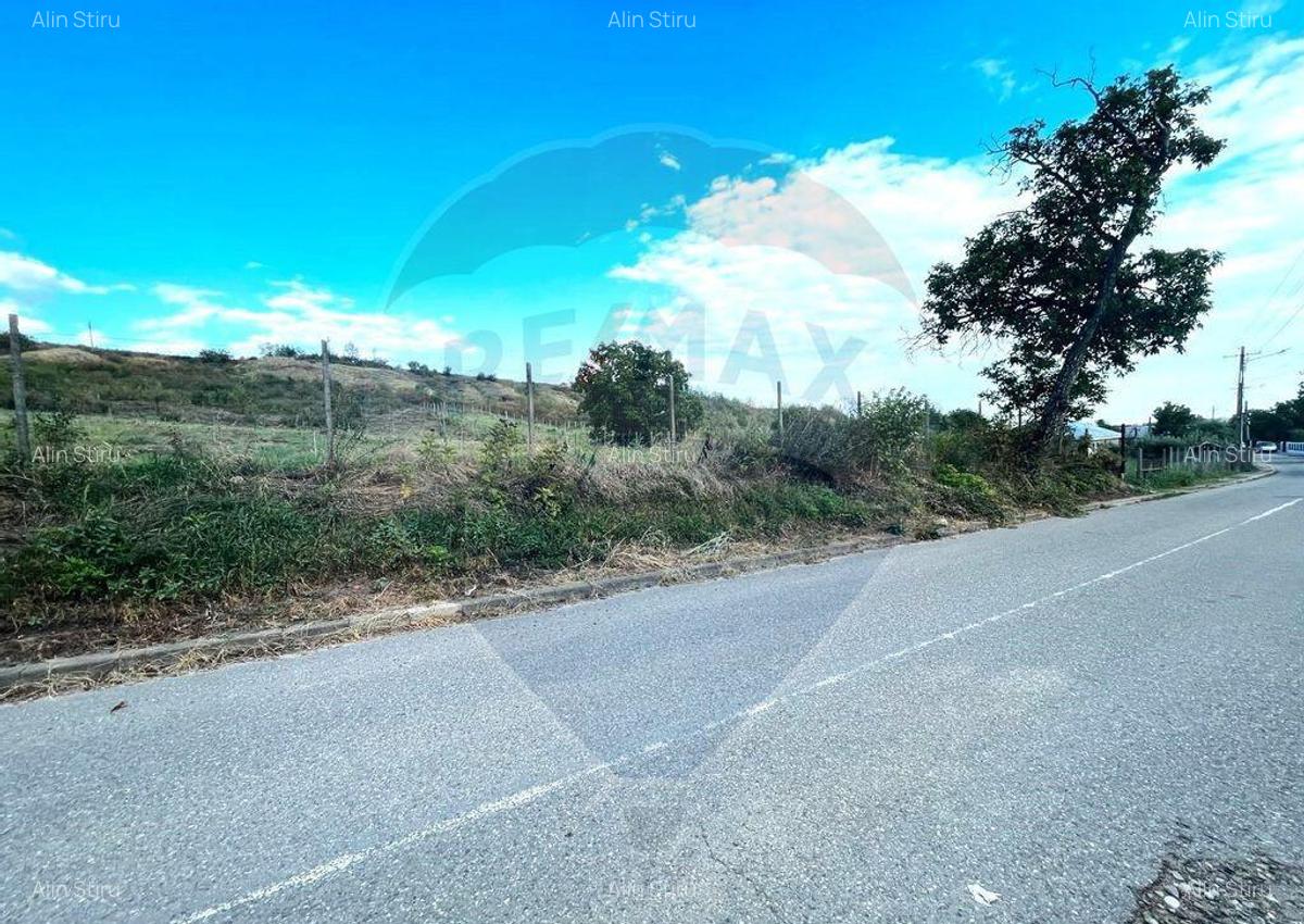 Teren Panciu ( Satul Nou ) Strada Progresului - 2