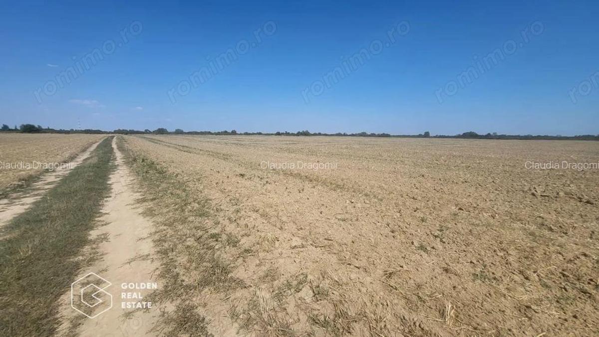 Teren Mosnita Noua, 11600 mp - 1