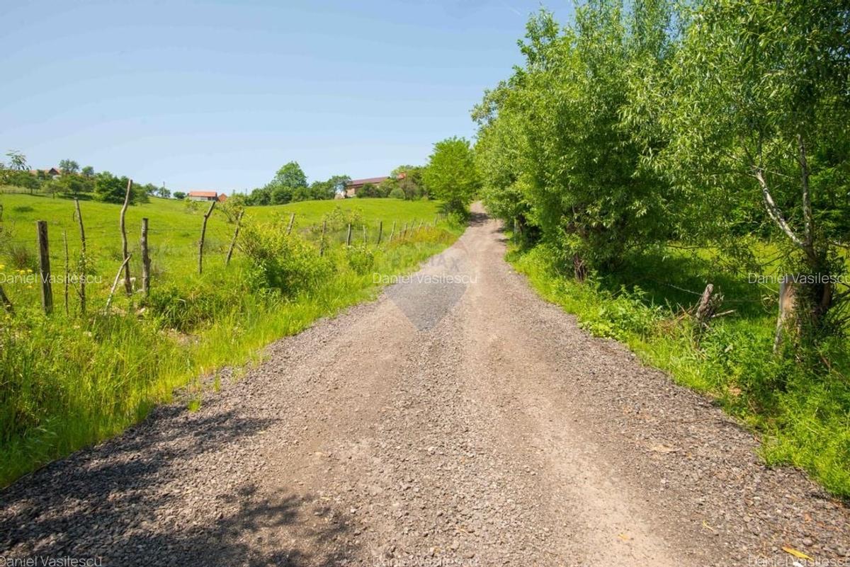 Teren Construcții intravilan de 5495 mp, în Bran - 37
