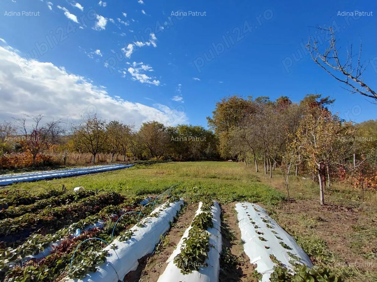 Casa de vanzare + gradina in sat Zagujeni - 7