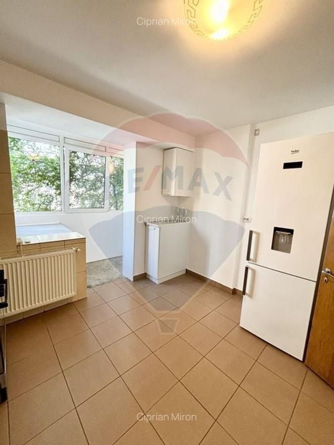 Apartament de inchiriat in zona Arcul de Triumf, Kiseleff, Averescu - 9