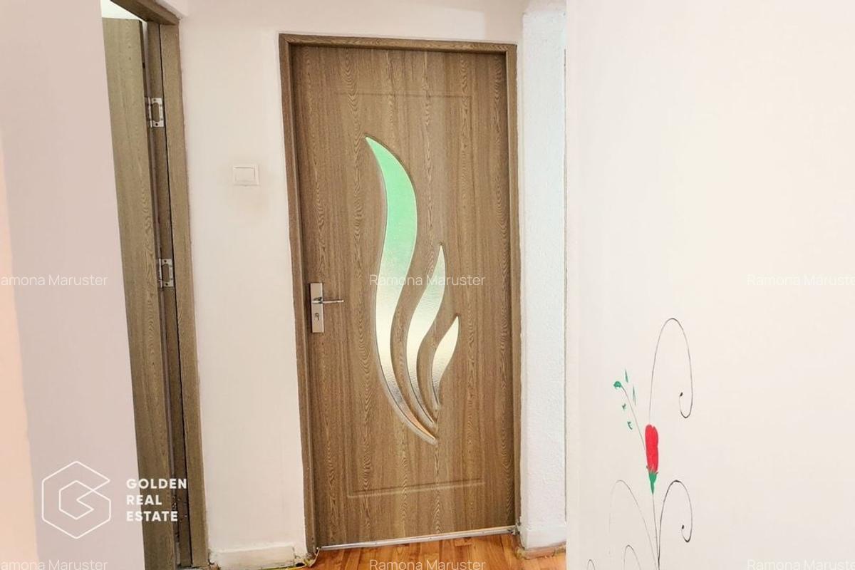 Apartament 3 camere, Aradul Nou, comision 0% - 11