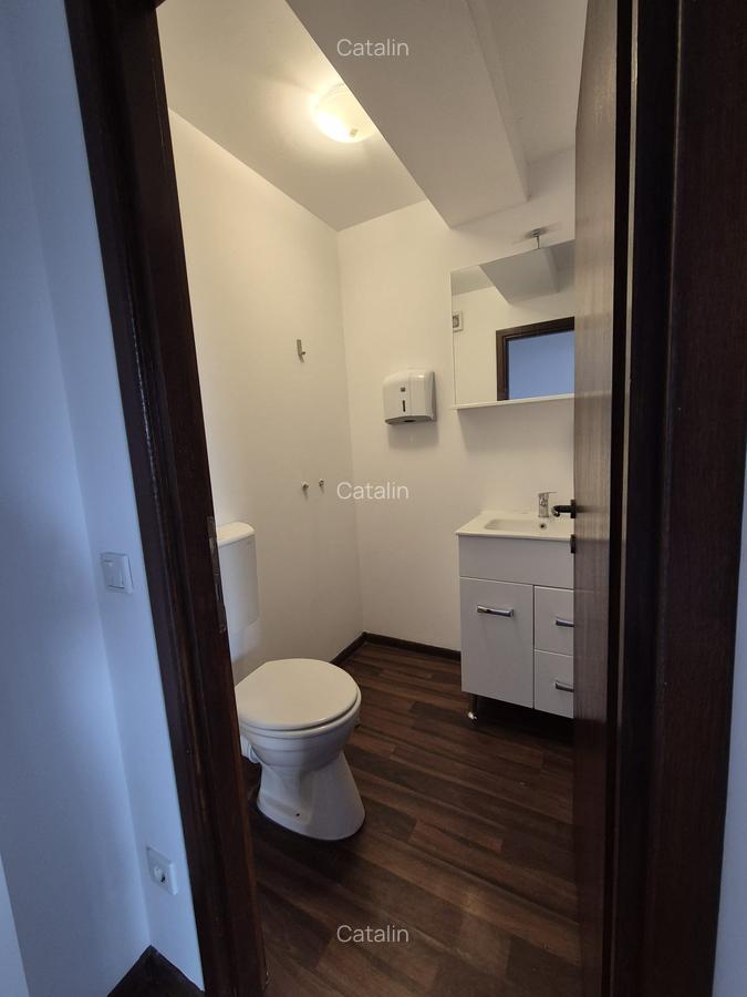 Domenii, Lainici, inchiriere spatiu birouri - 22