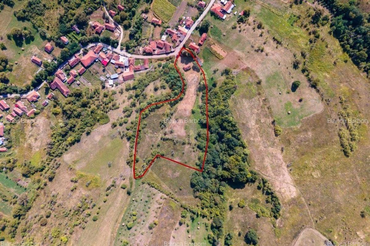 Casa veche cu teren ,Varmaga jud Hunedoara - 7