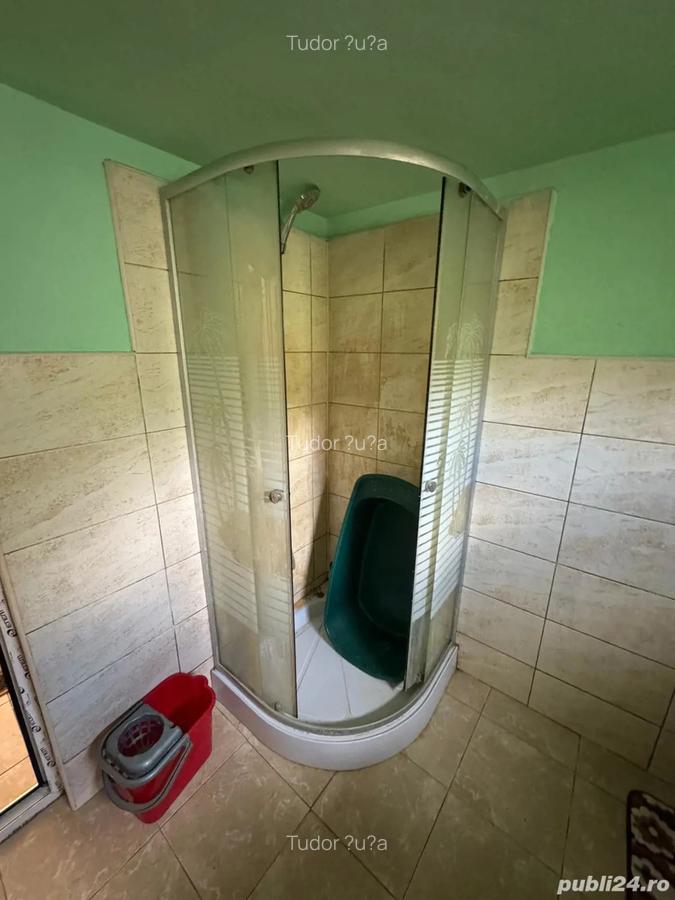 Vinzare casa - 6