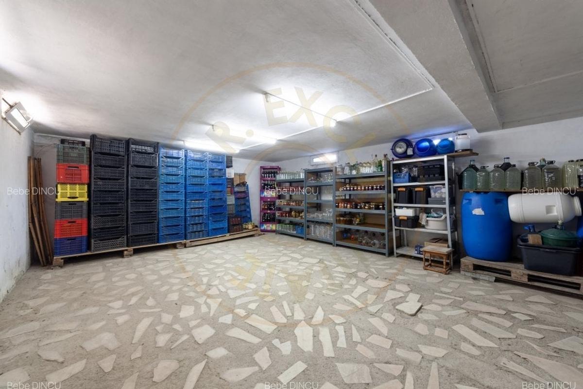Casa visurilor cu livada roditoare si gradina amenajata - 12