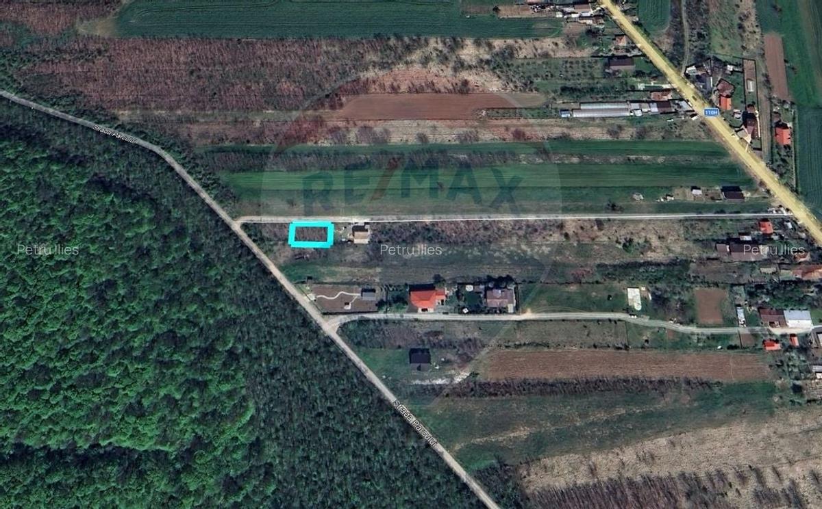 Teren intravilan, 450mp, Gruiu/Ilfov - 2