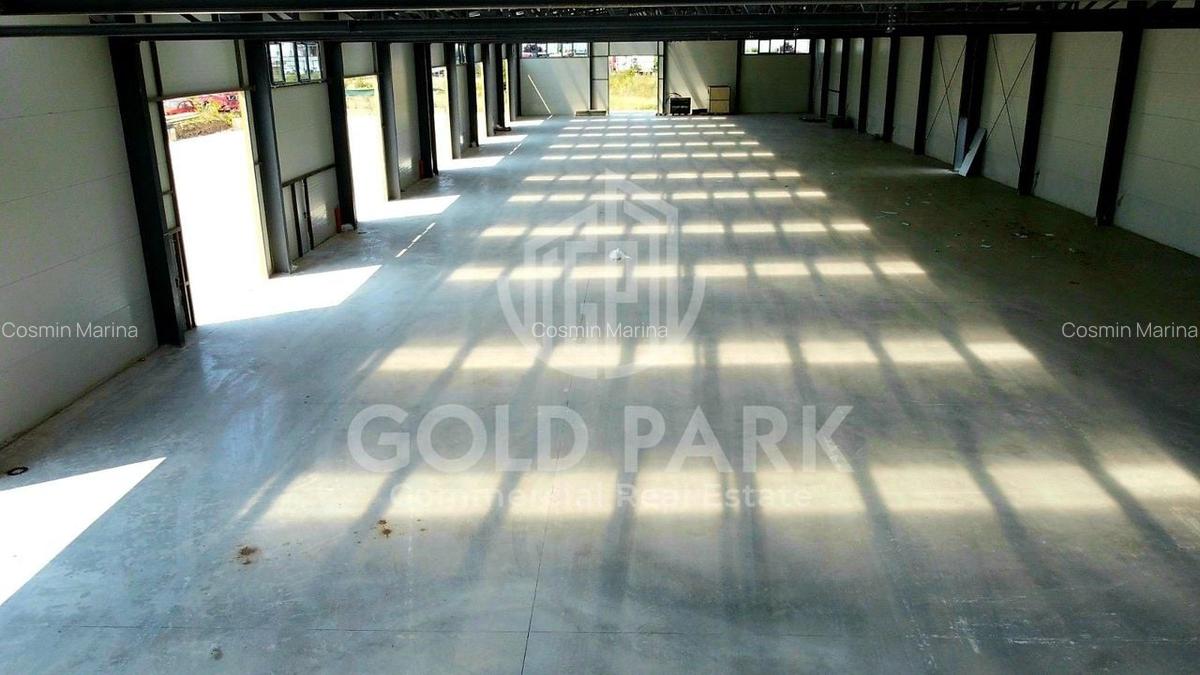 Spatiu Industrial-HALA NOUA/MODERNA-Zona Autostrazii- Curte Betonata - 12