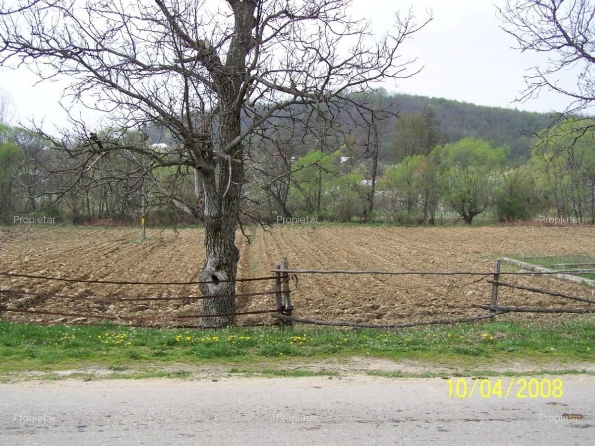 Vad 22000 mp INTRAVILAN BOGATI DJ702C jud Arges - 3