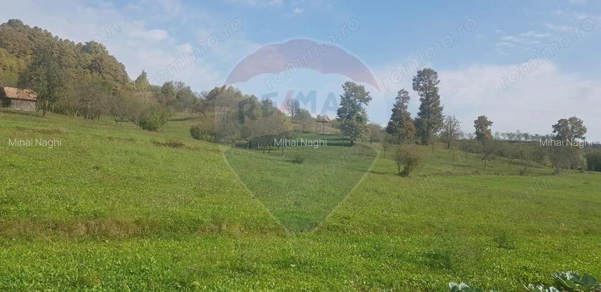 Casa si teren 1.6 ha de vanzare, in Rona de Jos - 7