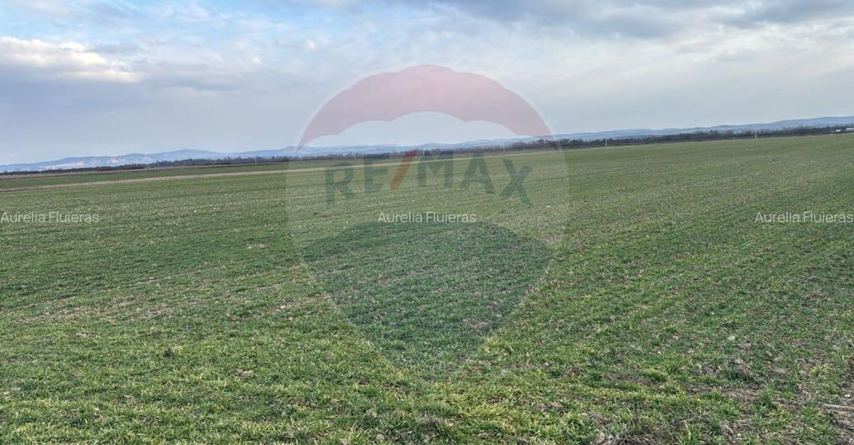 Teren intravilan de vanzare 3.675 mp Sabolciu, dire... - 8