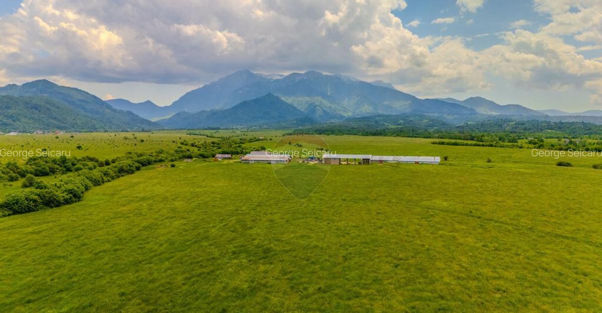 Teren 10,800mp Rasnov / Drumul DN73 - 14