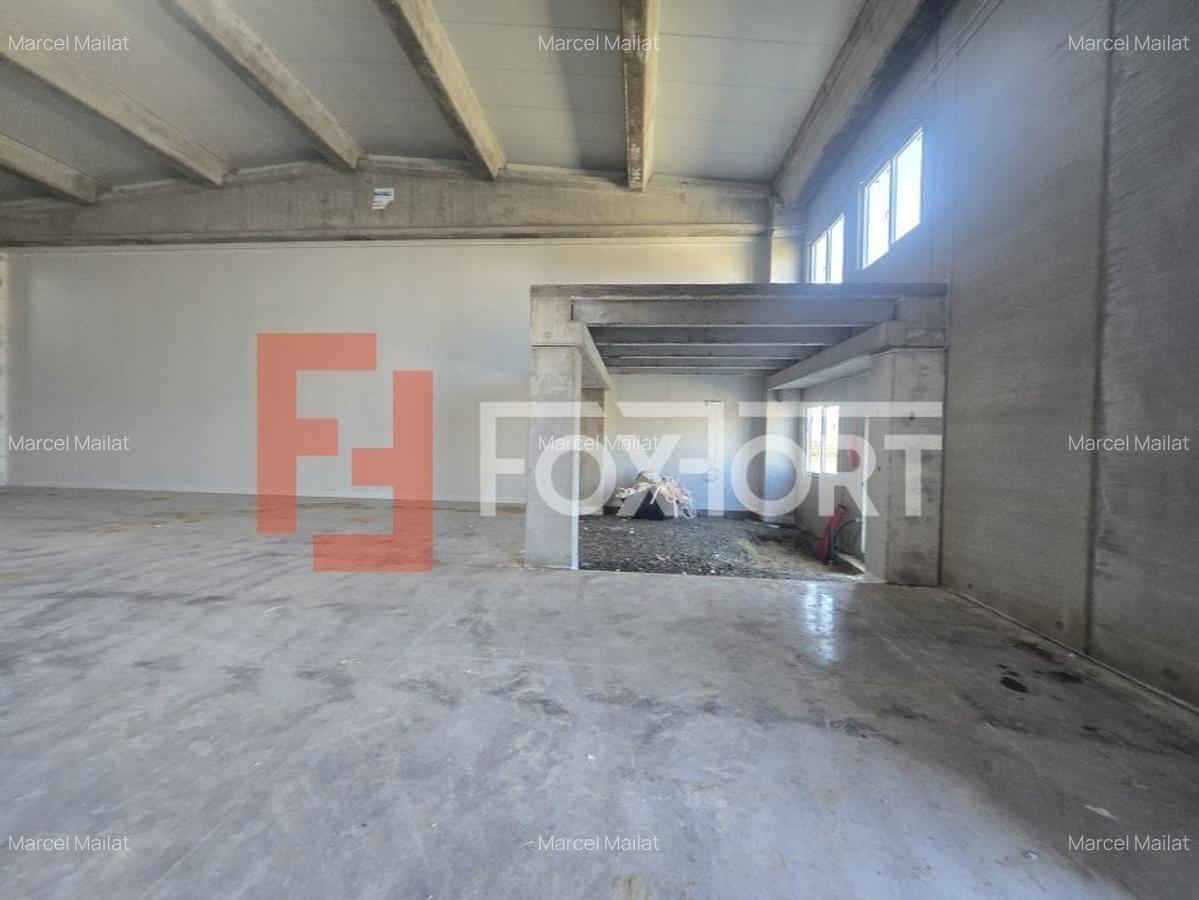 Spațiu industrial, 524 mp în Sânandrei - 6