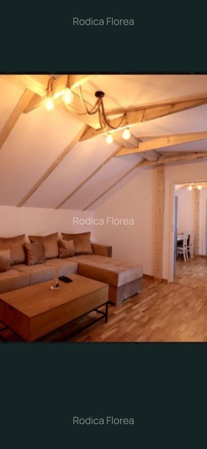 Apartament 2 camere modern-lux- Centrul Vechi Pet Friendly - 3