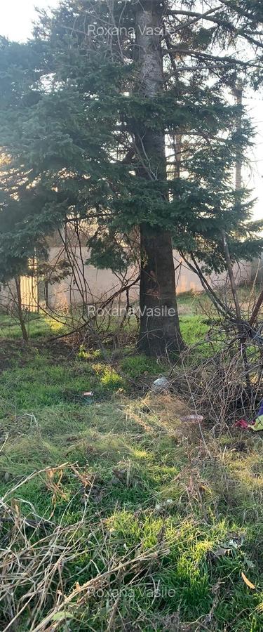 Vanzare  Casa  DN2   Afumati - 4