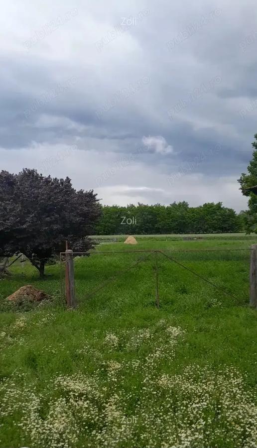 Vand casa in Ungaria la 25 km de vama Bors - 4