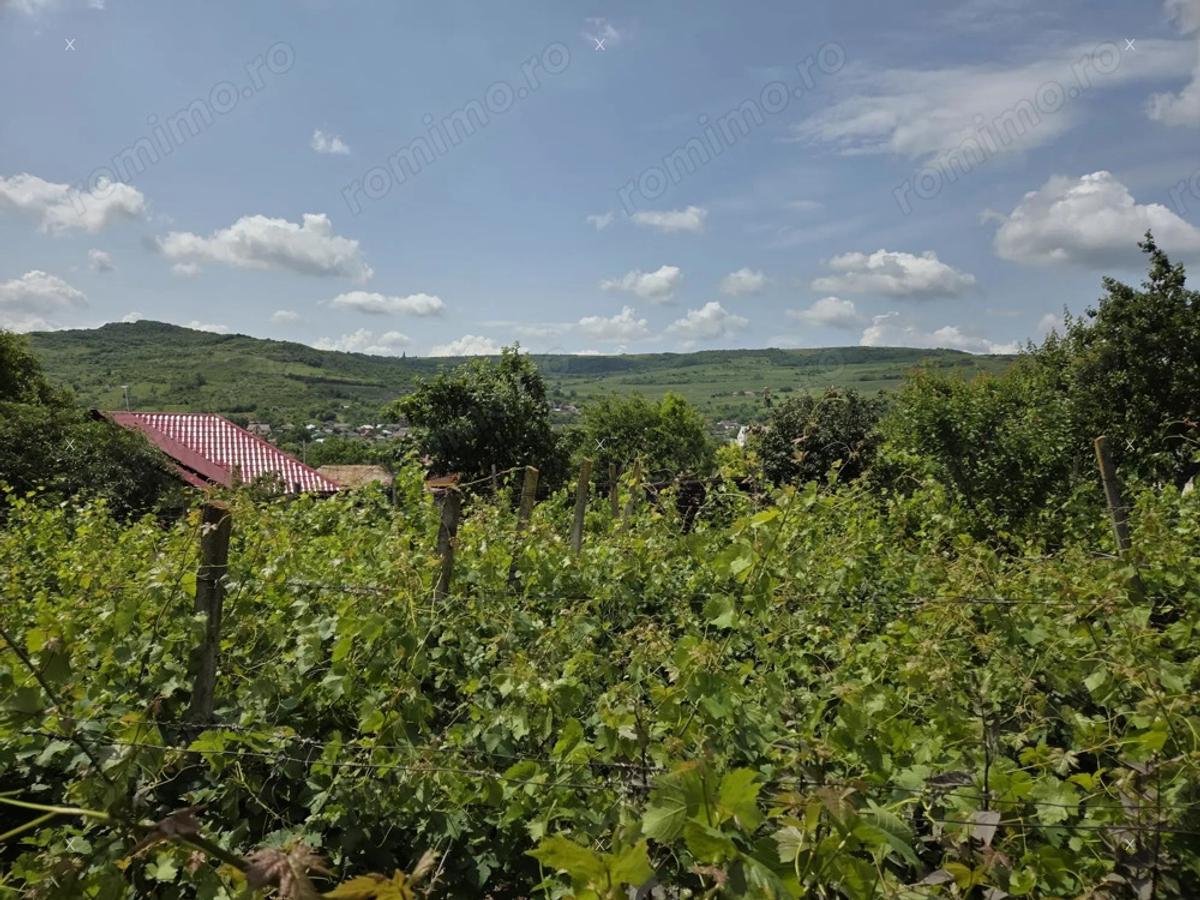 Oportunitate casa + anexe, 100 mp cu gradina 700mp - 3