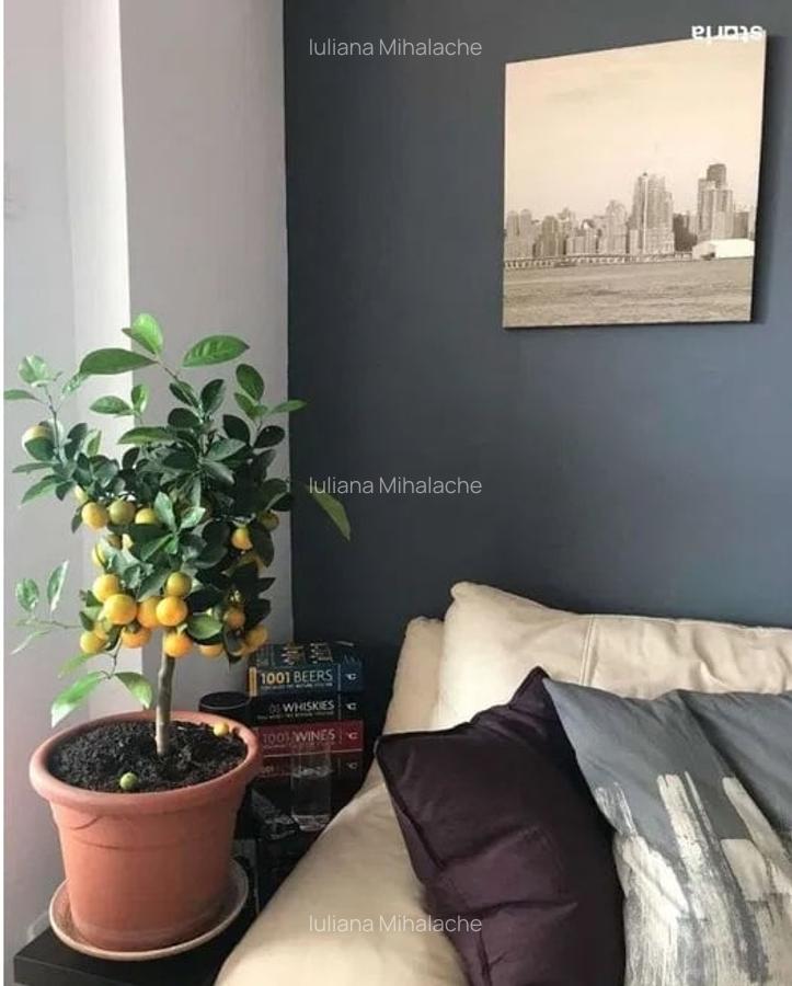 Apartament 3 Camere | 110 mp | Metrou | Titulescu - 7