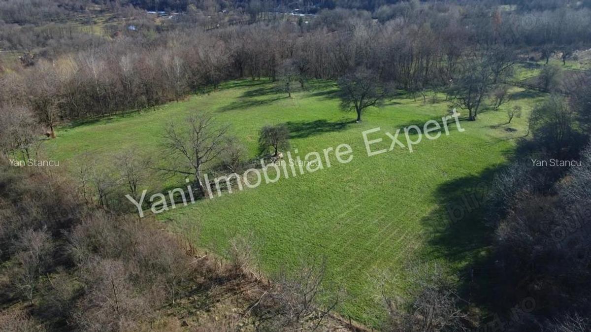 Teren 13.643 mp intravilan de vanzare in Curtea de Arge?. - 14