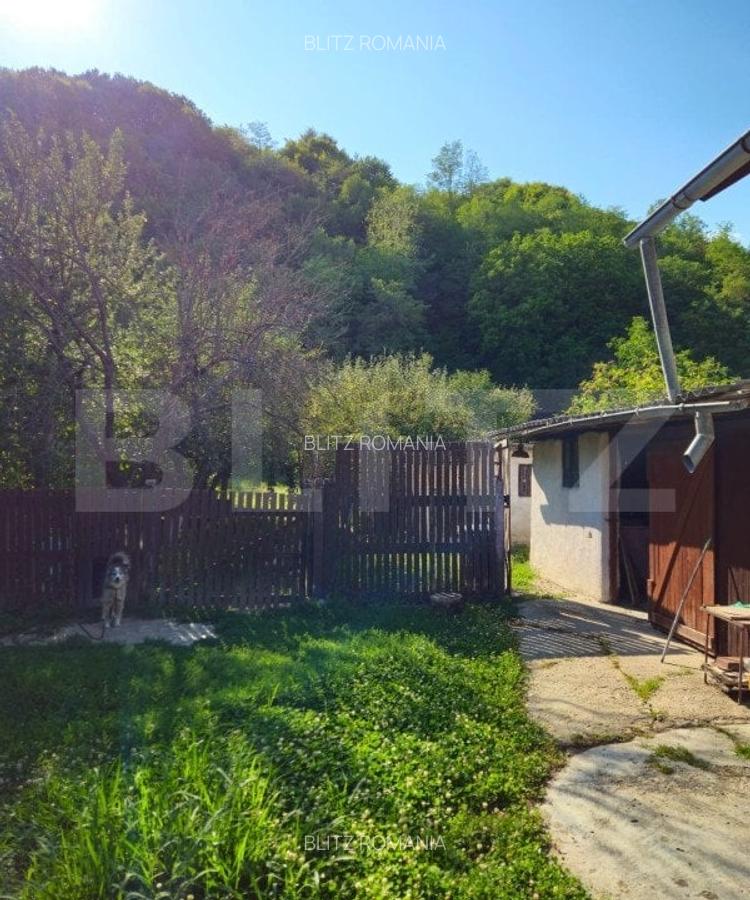 Casa spatioasa cu livada, intr-o zona linistia la 20 km de Targoviste - 4