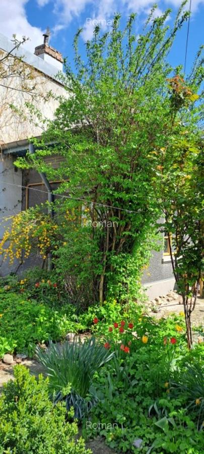 Casa individuala cu gradina - 7