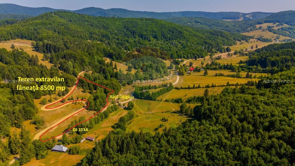 Teren 8500 mp, Valea Dalghiului - Dalghiu - vedere catre Ciucas - 14