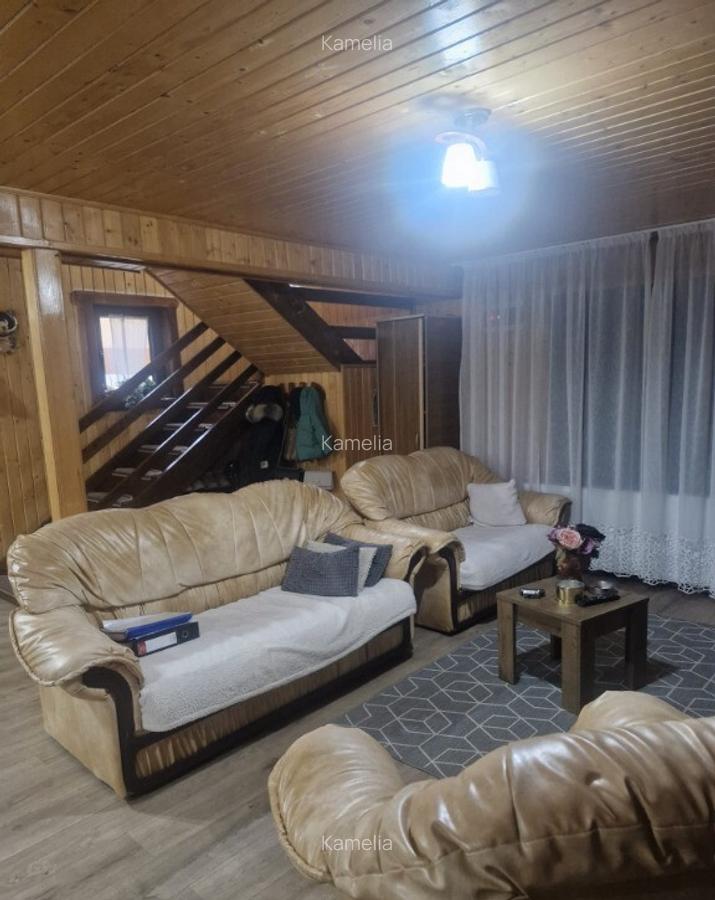 Vila in localitatea Sarata Monteoru, Buzau - 20