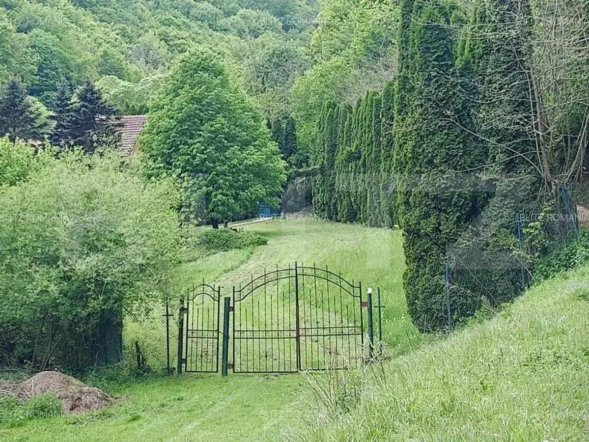 Casa de Vacan?a pe Valea Ighielului 3 camere, 2500 mp curte - 16