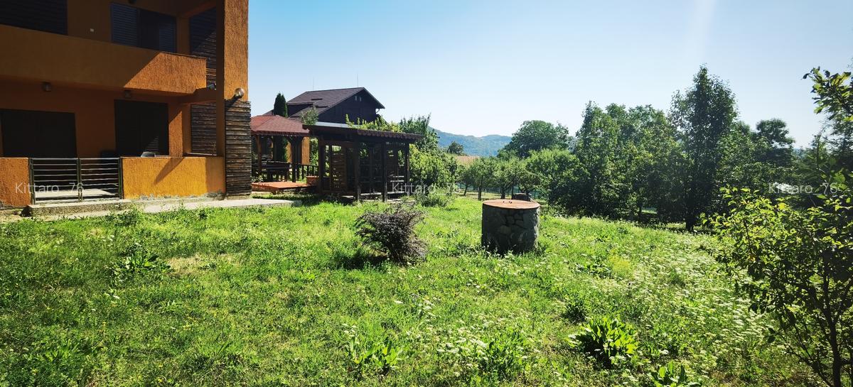 Vila superba in Breaza - 39